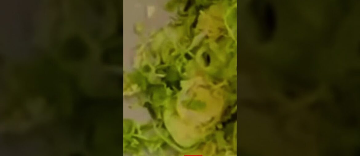 Ultimate Cured Cod & Gourmet Fried Brussels Sprouts Tutorial Ultimate Cured Cod & Gourmet Fried Brussels Sprouts Tutorial