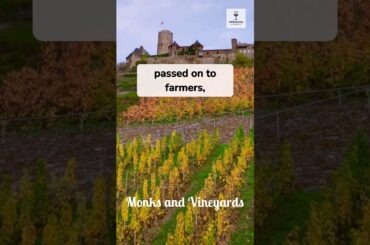 The Monks Who Invented Burgundy #worthitwines #burgundy #frenchwine #pinotnoir #chardonnay #wine