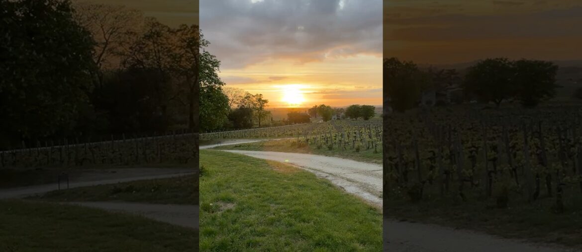 Saint Emilion Sunset – Sunset from Chateau Bellvue, Saint Emilion Grand Cru Classe #enprimeur Saint Emilion Sunset - Sunset from Chateau Bellvue, Saint Emilion Grand Cru Classe #enprimeur