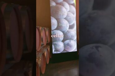 They Turned a Bordeaux Barrel Room Into a Theatre #wine