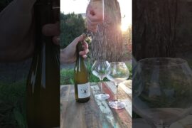 Our beautiful evening
