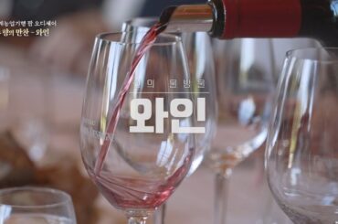 [팜 오디세이] 100년 된 와인이 숨쉬는 프랑스 보르도! 샤또에서 식탁까지 와인의 경지를 만나다 #와인