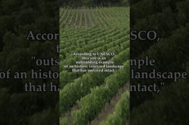 How does a small wine village become a UNESCO World Heritage Site?