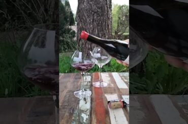 A warm sip of Beaujolais