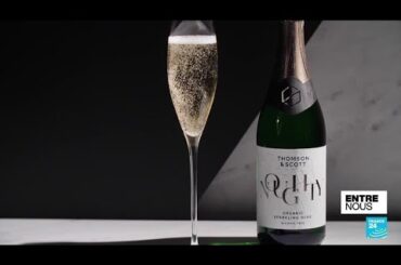 A spotlight on the growing popularity of non-alcoholic wine • FRANCE 24 English