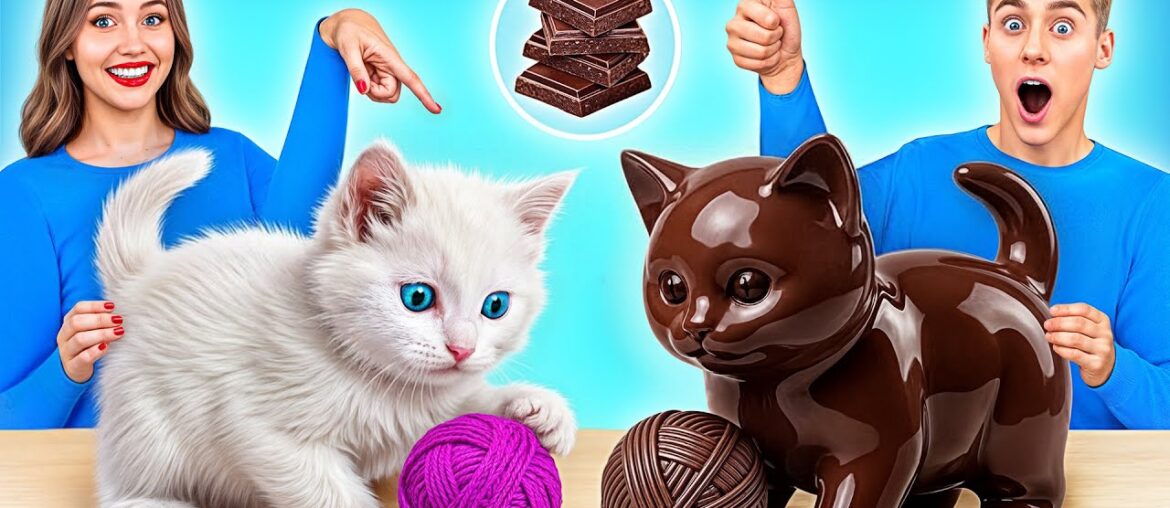 Real Food vs Chocolate Food Challenge | Awesome Culinary Recipes by Multi DO Challenge