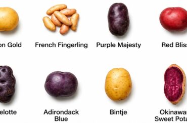 Potato Varieties Explained: 10 Spuds You Need to Know