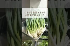 【厨房の日常】丹波青垣から届いた恵みの夏野菜！