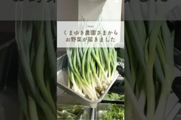 【厨房の日常】丹波青垣から届いた恵みの夏野菜！