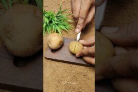 Miniature Crispy French Fries Cooking| Tiny Food Recipe in Mini Kitchen Satisfying Miniature Cooking