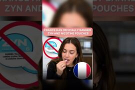 France has officially banned ZYN and all non-medicinal nicotine pouches 🇫🇷🚫 #shorts #france
