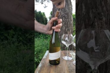 Une et mille nuits blanches