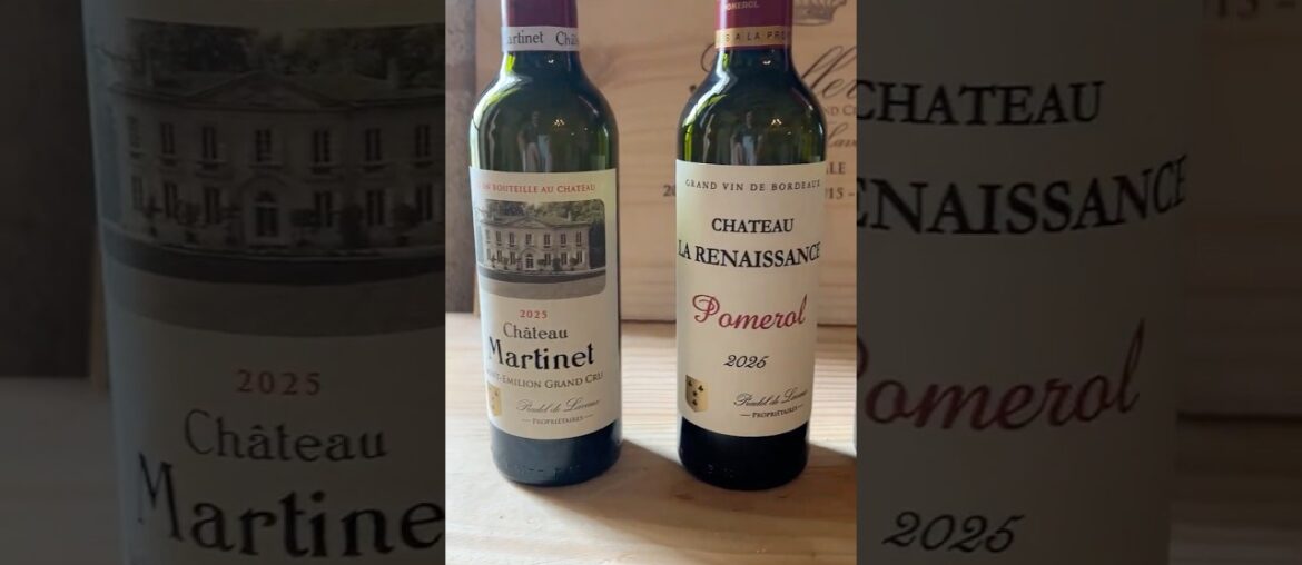 Tasting the Wines of the Pradel de Lavaux Family #enprimeur2025 #dcamw Tasting the Wines of the Pradel de Lavaux Family #enprimeur2025 #dcamw