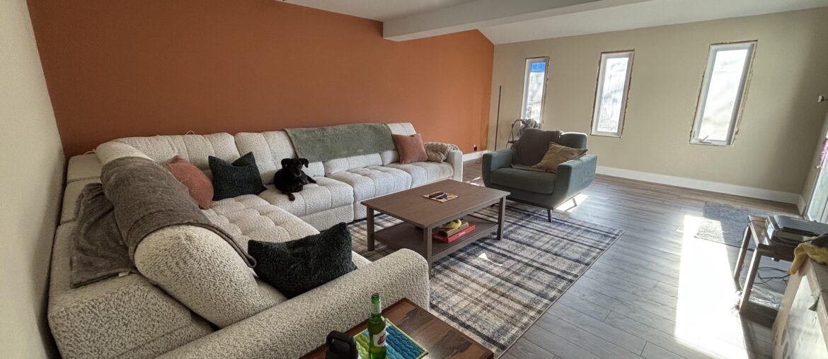 Looking for loving room light fixture suggestions.