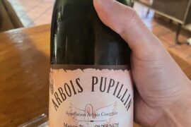 Maison Pierre Overnoy - Chardonnay 2018 (7 ans d'age)