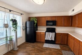 Thinking about changing my kitchen up in my rental- which theme?