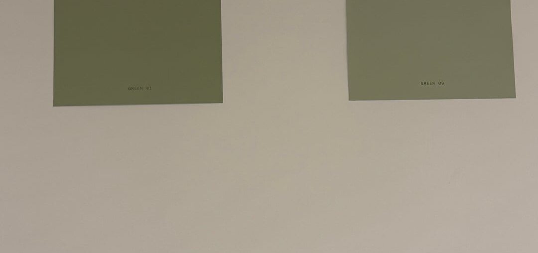 Help me pick colour for Feature wall