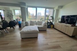 Please help me find the right rug for this room