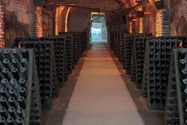 Walked through Pommery's old cellars in Reims, some of the bottles down there are older than my great-grandparents
