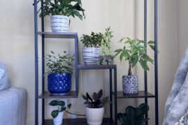 I absolutely love this shelf! This adds a beautiful corner in my living room.