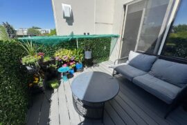 Help choosing an outdoor rug?