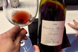 2009 Tremblay Chambolle-Musigny 1er Cru ‘Les Feusselottes’