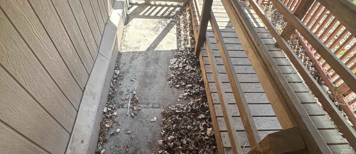 I have this weird concrete area between my deck and my house, and I don’t know what to put there. I have this weird concrete area between my deck and my house, and I don’t know what to put there.