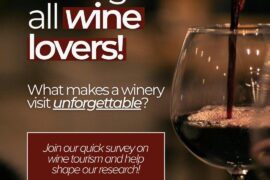 Your opinion on wine tourism