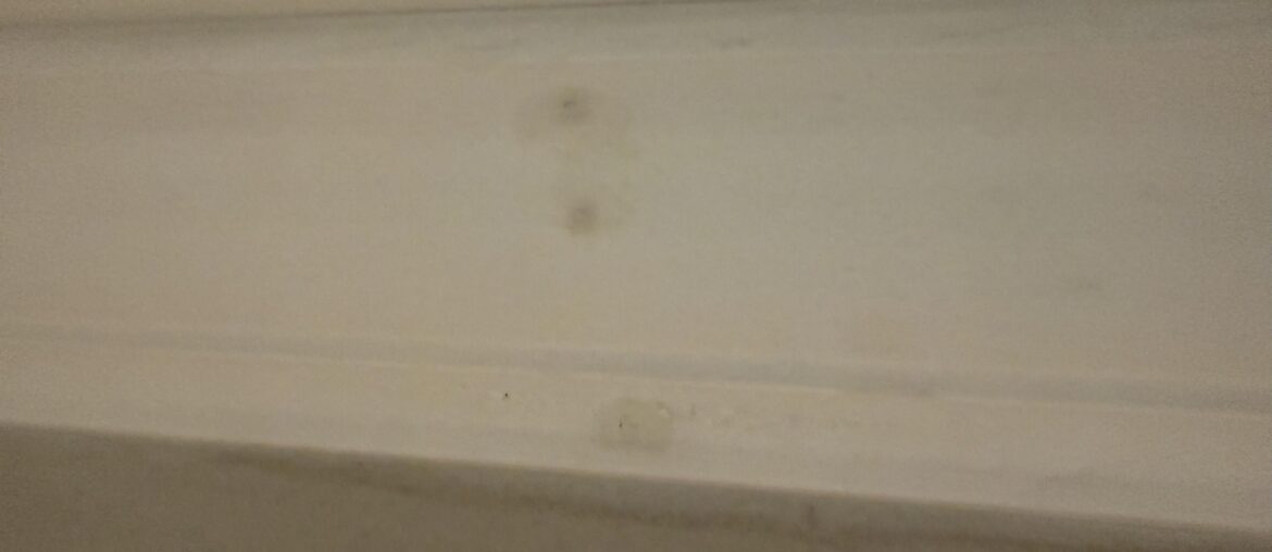 Crown molding painting