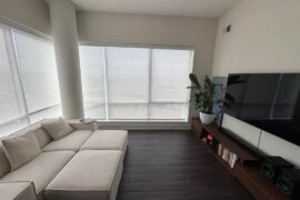 Help decorate. Rug, art, plant??
