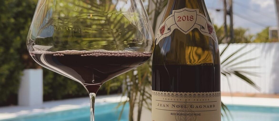 2018 Jean Noel Gagnard Chassagne-Montrachet Rouge “Morgeot” 1er Cru | 🇫🇷