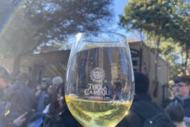 Los de la bodeja Terra Camiare son excelentes