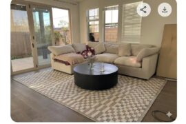 Which rug should I choose?