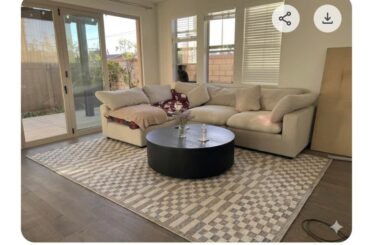 Which rug should I choose?