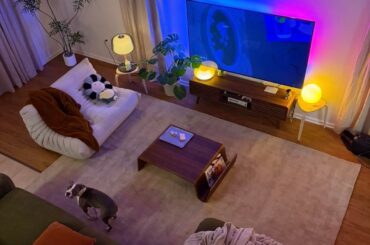 Need help picking vertical cat space for home