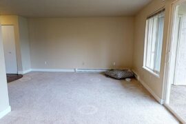 Moving to a new apartment and confused about how to furnish it