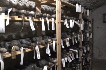 133 Bottles Of Century-Old Wine Hidden During WWII Being Restored