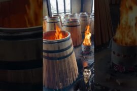 How Luxury Wine Gets Its Famous Taste 🍷🔥 | Secret of French Oak Barrels #shorts