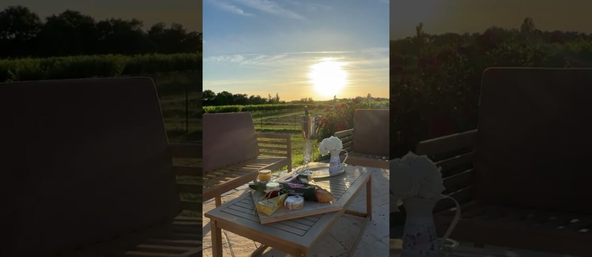 Cheese and wine by the pool as the sun sets Cheese and wine by the pool as the sun sets