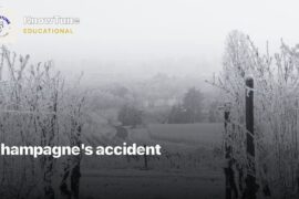 Champagne's accident | #Shorts