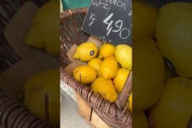 A Chef’s Morning at the Chablis Market 🇫🇷 | Restaurant Life in France