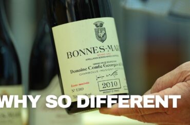 Why Bonnes Mares Doesn't Taste Like Chambolle Musigny