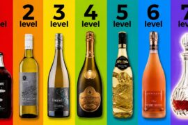 The 7 Levels Of Wine