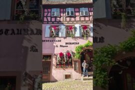 Riquewihr ,🇫🇷: Alsace’s Medieval Jewel ✨ #travelshorts #alsace #wine #france #riquewihr #medieval