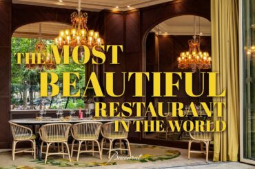 Dining with Crystal | Ducasse Baccarat Restaurant in Paris
