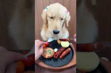 Golden Retriever Enjoying a Gourmet Meal! 🐾🍳😱 #shorts #viral #puppy #foryou