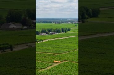 Burgundy The Hillside That Changed Wine Forever #frenchWine #winetok #shorts #travel