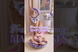 A purrfectly French treat! #cats #baking