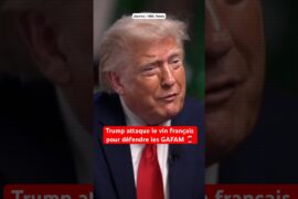 Trump attaque le vin français pour défendre les GAFAM 🍷 #trump #donaldtrump #vin #tech #taxes