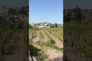 Views From the Entrance of Chateau Chateau Ausone Showing Saint Emilion and the Vineyards #bordeaux